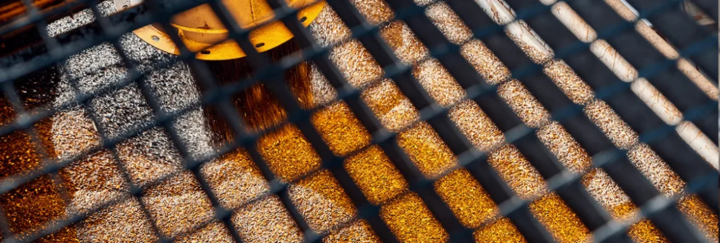 Vegetable Oil Processing