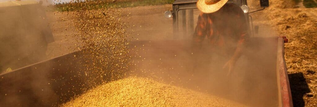 Corn Germ for Mechanical Screw Press