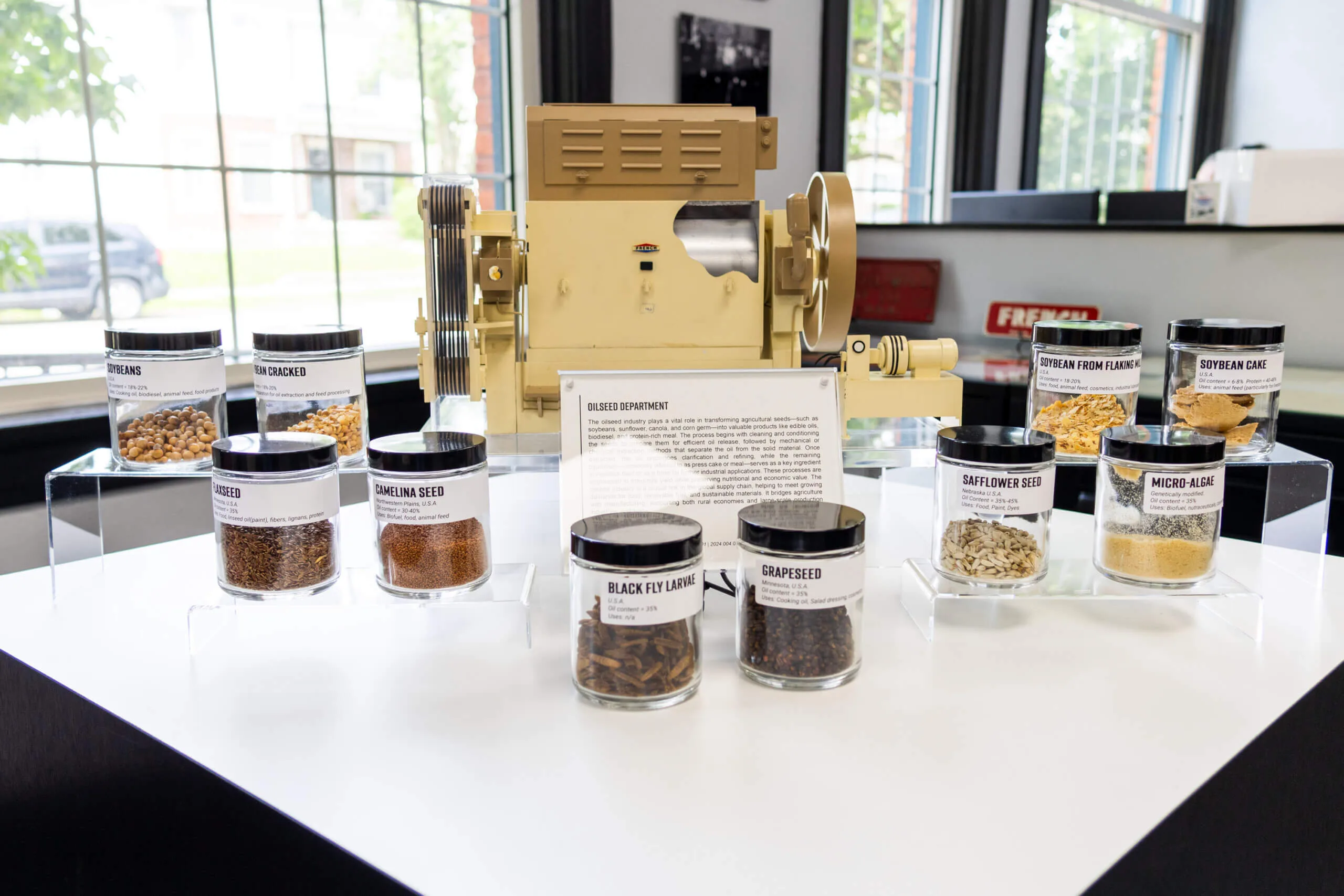 oilseed_display_french_museum Oilseed display with seed and processing-stage samples in The French Museum.